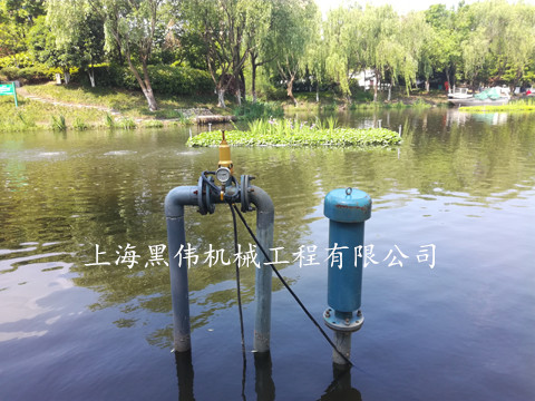 河道治理沉水式鼓精东视频下载 河道治理沉水式鼓精东视频下载