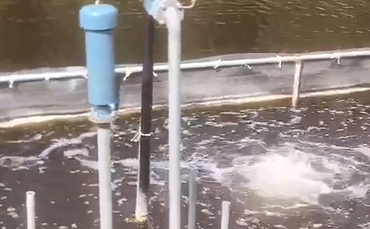 沉水鼓精东视频下载進氣口 – 你所不知道的事情